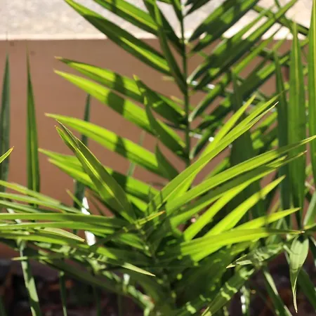 Zvonimir 3* Stobreč